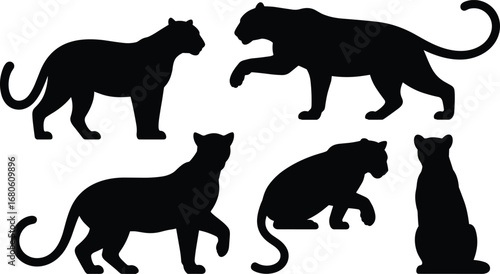 Silhouette vector set of wild big cats in various poses, ideal for wildlife, jungle, safari, animal design, or nature themes.