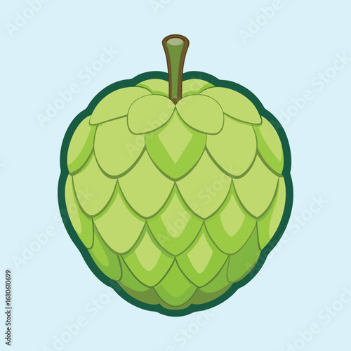 Illustration of a bright green Sugar Apple against a light blue background