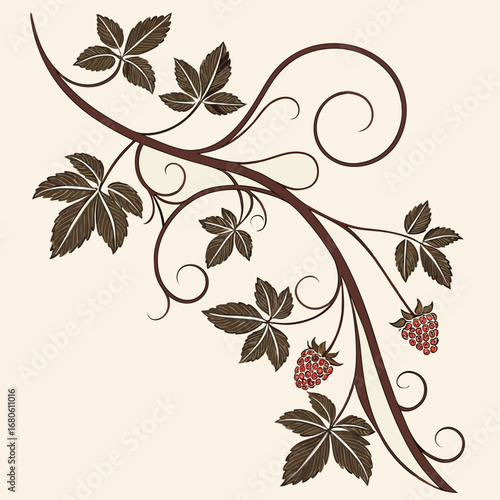 Decorative brown vine with leaves and raspberries on a cream background