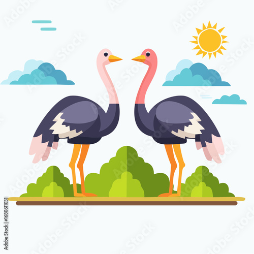 Cartoon vector illustration of two ostriches in flat geometric style.