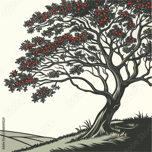 Stylized illustration of a mature tree with red berries and dark leaves on a gentle slope