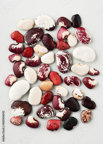 Heirloom lima beans in striking patterns and colors are arranged on a light background. Mix of rustic reds, whites, and maroons celebrates natural variety and beauty. (Phaseolus lunatus). Top view.