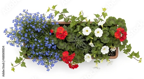 Overhead shot of a rectangular planter box filled with a variety of colorful flowers including blue lobelia, red geraniums, white petunias, and trailing ivy.