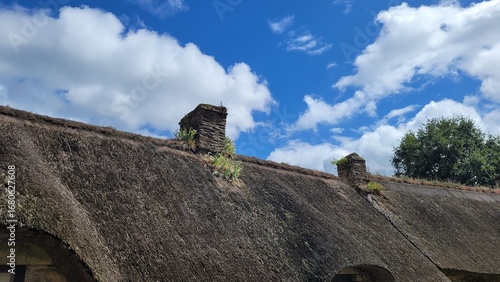 Vue sur toit de chaume et cheminée