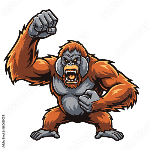 Aggressive orangutan flexing muscles with raised fist, roaring with anger