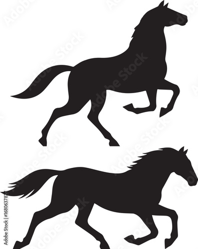 horse silhouette vector dynamic