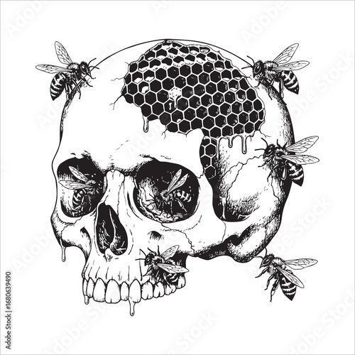 Vector art of skull with honeycomb and bees, a macabre nature scene