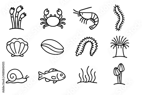 Hydrothermal Vent Icons. Outline icon set of hydrothermal vent fauna: tube worm, vent crab, vent shrimp,
