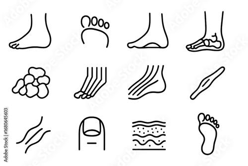 Foot Anatomy Icons. Outline icon set of foot anatomy poster: heel, toes, arch, ankle, tarsal bones,