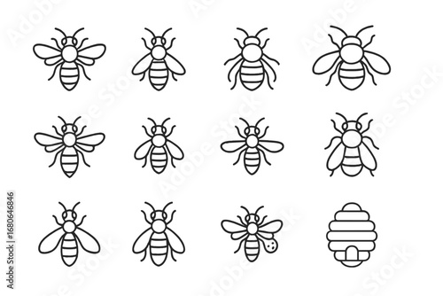 Honeybee Species Icons. Outline icon set of honeybee species: Apis mellifera, stingless bee, bumblebee,