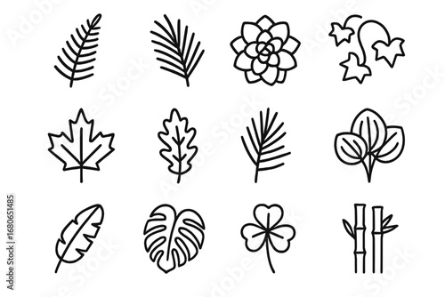Plant Foliage Icons. Outline icon set of arranging plants by foliage type: fern leaves, palm fronds, succulent