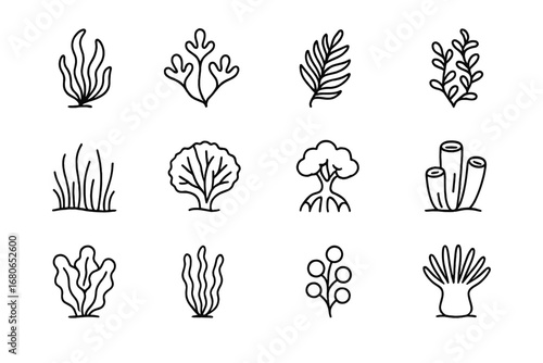 Marine Flora Icons. Outline icon set of marine flora: kelp, red algae, green algae, brown algae, seagrass