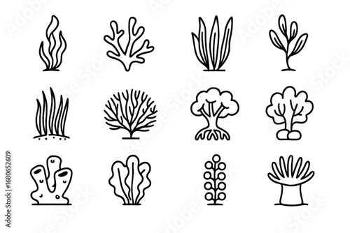 Marine Flora Icons. Outline icon set of marine flora: kelp, red algae, green algae, brown algae, seagrass