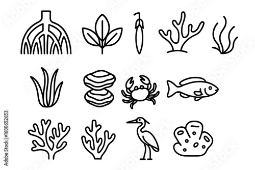 Mangrove Ecosystem Icons. Outline icon set of mangrove ecosystems: mangrove roots, leaves, propagules, algae,