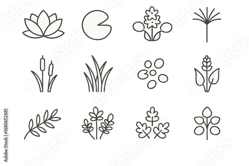 Decorative Water Plant Icons. Outline icon set of decorative water plants: lotus flower, lily pad, water