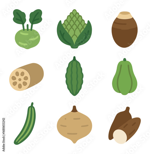 Exotic Vegetables Icons. Flat icon set of exotic vegetables: kohlrabi, romanesco, taro root, lotus root,