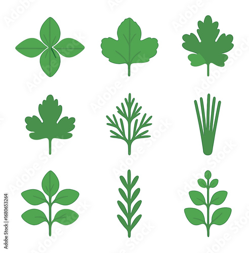 Fresh Herb Icons. Flat icon set of fresh herbs: basil, mint, cilantro, parsley, dill, chives, oregano,