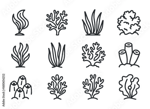 Cold-Water Vegetation Icons. Outline icon set of cold-water vegetation: kelp, brown algae, seagrass, moss, red
