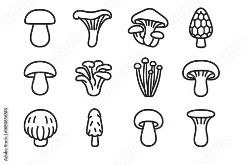 Edible Mushroom Icons. Outline icon set of popular edible mushrooms: porcini, chanterelle, oyster mushroom,