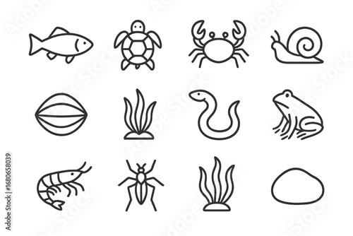 Underwater Icon Grid. Outline icon set of underwater river life: fish, turtle, crab, snail, mussel, aquatic