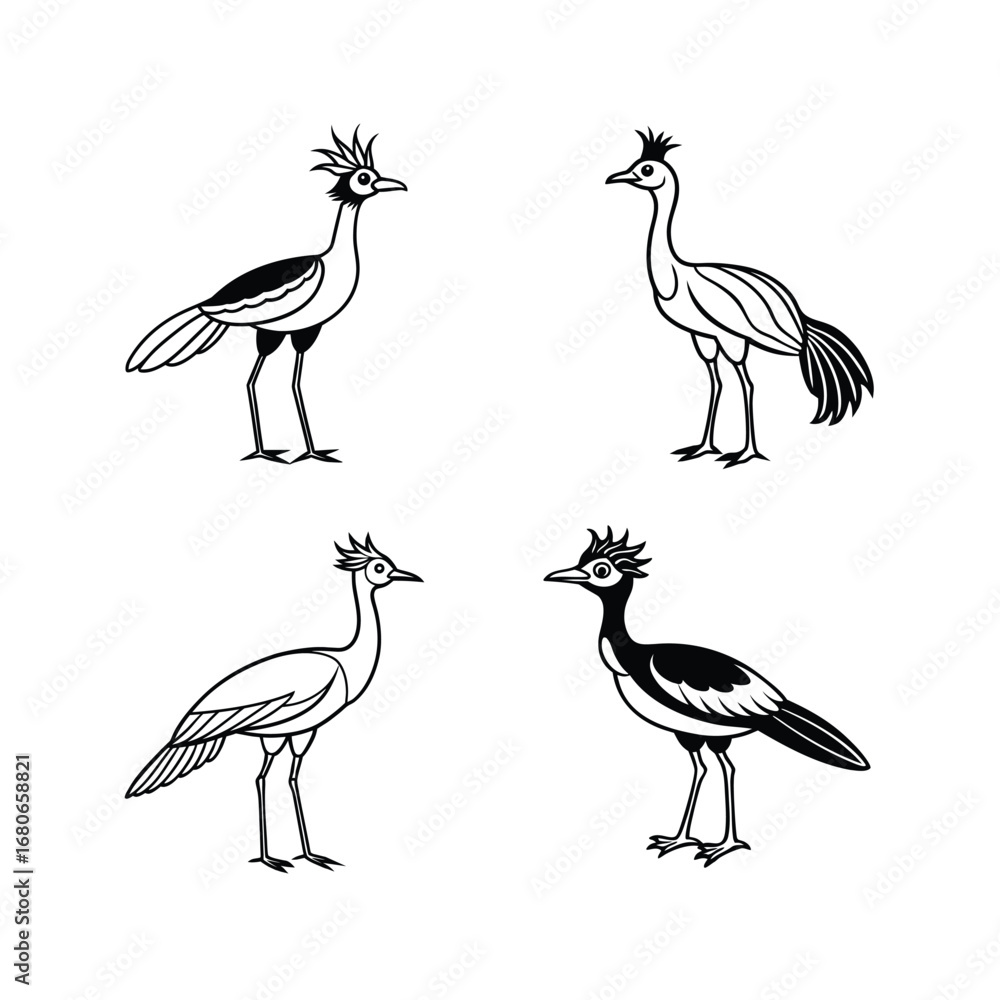 Fototapeta premium Black white silhouette bird vector