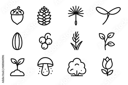 Wild Plant Icon Set. Outline icon set of Wild plant propagation: acorn, pine cone, dandelion, maple seed,