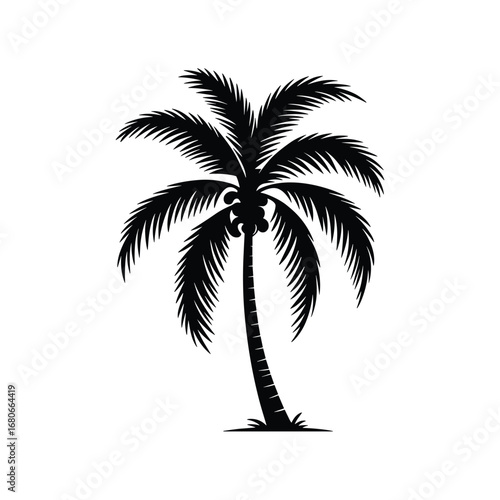 Silhouette of a majestic palm tree standing tall against a clear sky tropical paradise