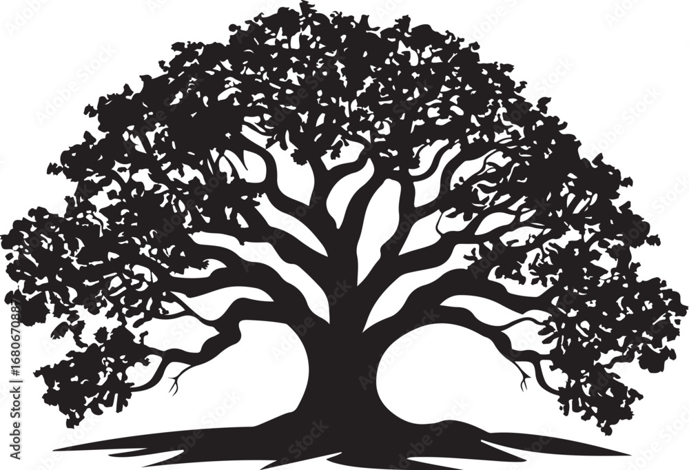 Fototapeta premium Nature Tree Silhouette Bundle