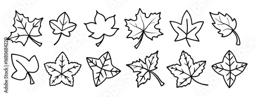 Ivy leaf line art design illustration nature inspired vector 