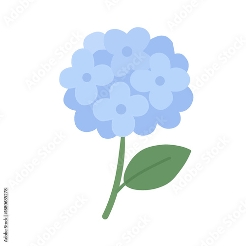 Blue Hydrangea Flower Illustration