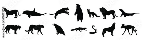 collection of silhouettes of predatory animals vector illustration
