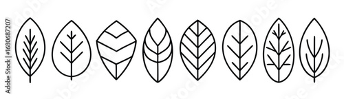 leaves line art stylish artworks