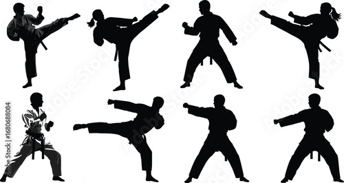 Silhouette of martial artists practicing karate, taekwondo, and kung fu moves—perfect for combat, self-defense, training, discipline, and fitness themes.
