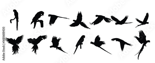 macau parrot bird silhouettes vector illustration set