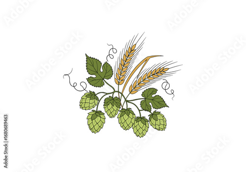 Craft beer brewing ingredients hops and barley organic natural ingredients for brewing beer and other alcoholic beverages