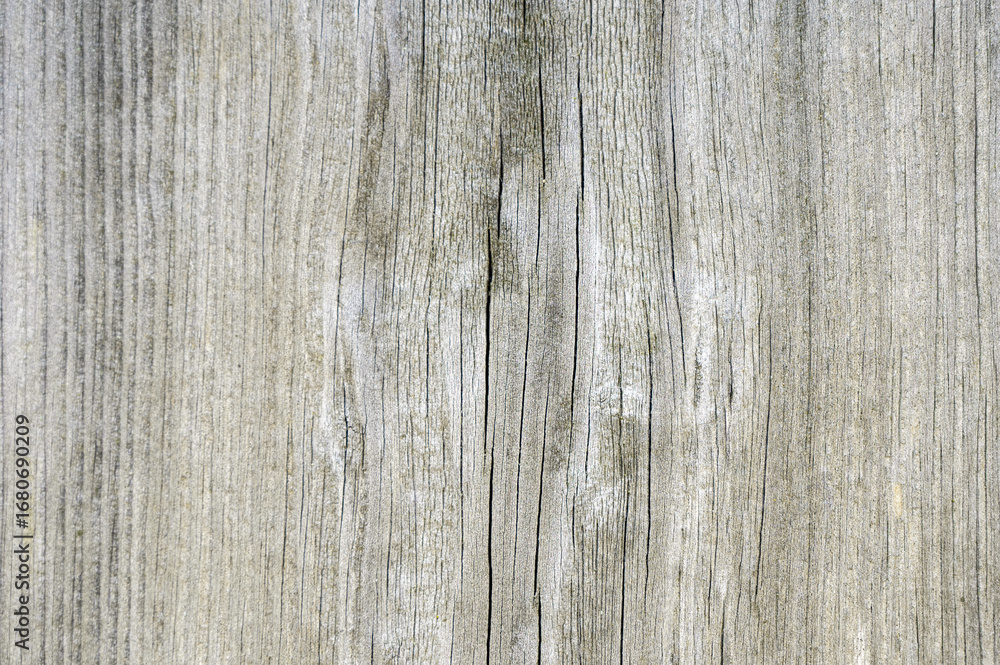 Fototapeta premium texture of old light wood. background