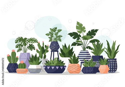 Collection of beautiful indoor potted plants for home decor and green living spaces