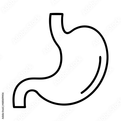 Human stomach vector illustration