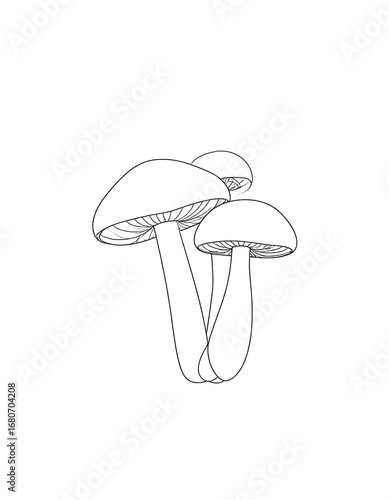 Three mushrooms in a simple line drawing