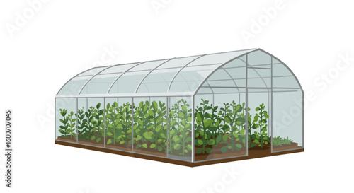 Modern flat style greenhouse with lush plants and transparent structure