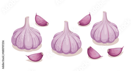 Realistic garlic bulbs and cloves on white background: fresh cooking ingredients