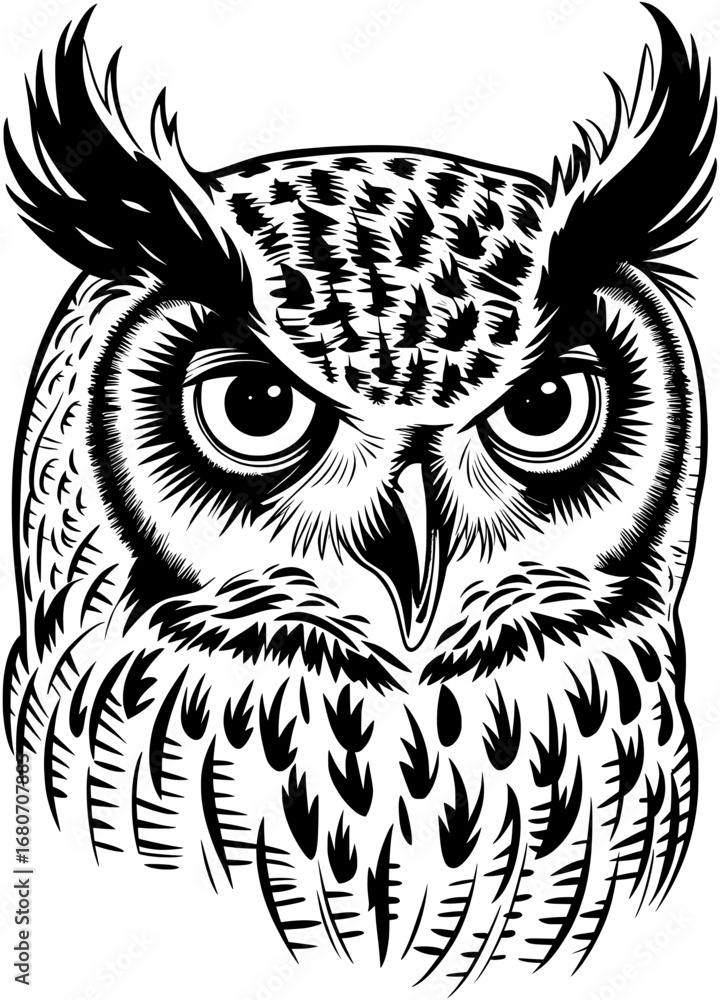 Obraz premium Owl Portrait SVG Print