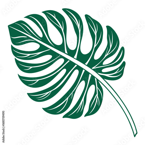 Illustration of a single dark green monstera leaf with distinct fenestrations and a prominent stem design element created with generated ai