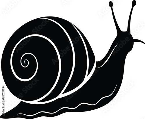 Black and White Snail Illustration with Spiral Shell and Antennae on white background