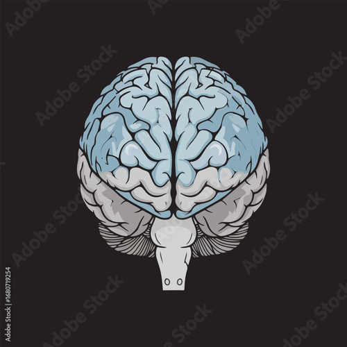 A stylized illustration of a human brain, rendered in shades of blue and grey, centered against a dark background.