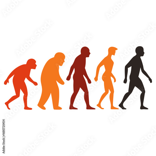 human evolution vector illustration