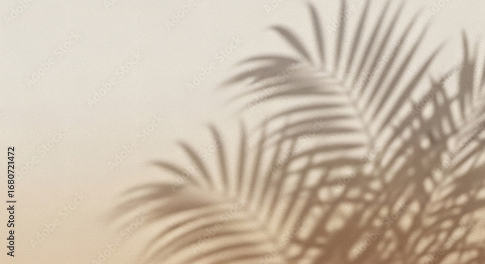 Obraz premium Palm leaf shadows on a textured beige wall