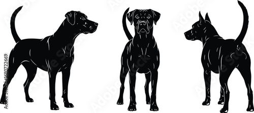 Silhouettes of dogs in standing poses, black and white vector art, canine illustration concept, muscular dog anatomy,