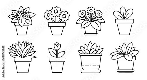 Potted flower outlines showcase various plant types. Gardening, botany, flora, growth, houseplant, nature, potted, garden, bloom, decor, succulent, vector, design, outline, illustration