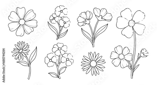 Floral sketches of different flower types. Botanical illustration, floral arrangement, nature drawings, line art, wildflower, floral design, flora, blossom
